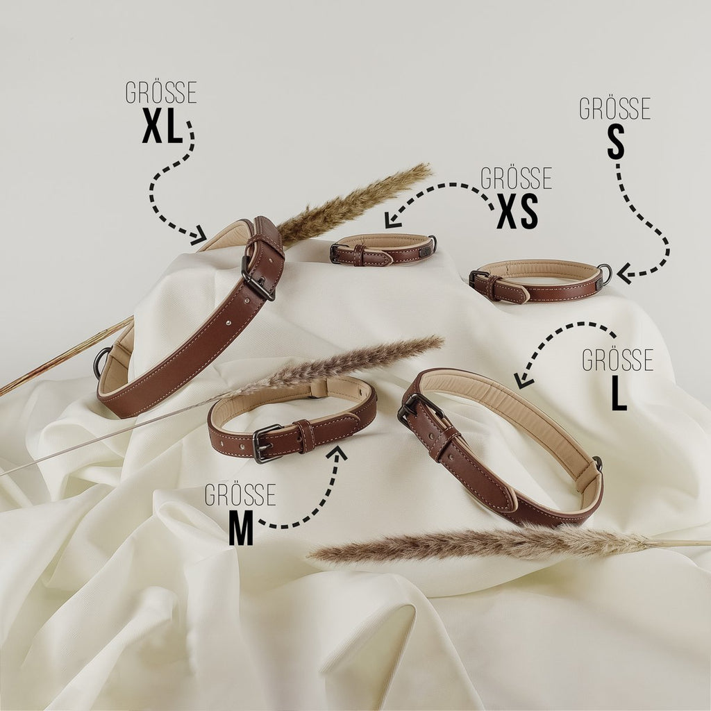 ne&no® set halsband en lijn – veganistisch leer, voor kleine & grote honden bruin + beige