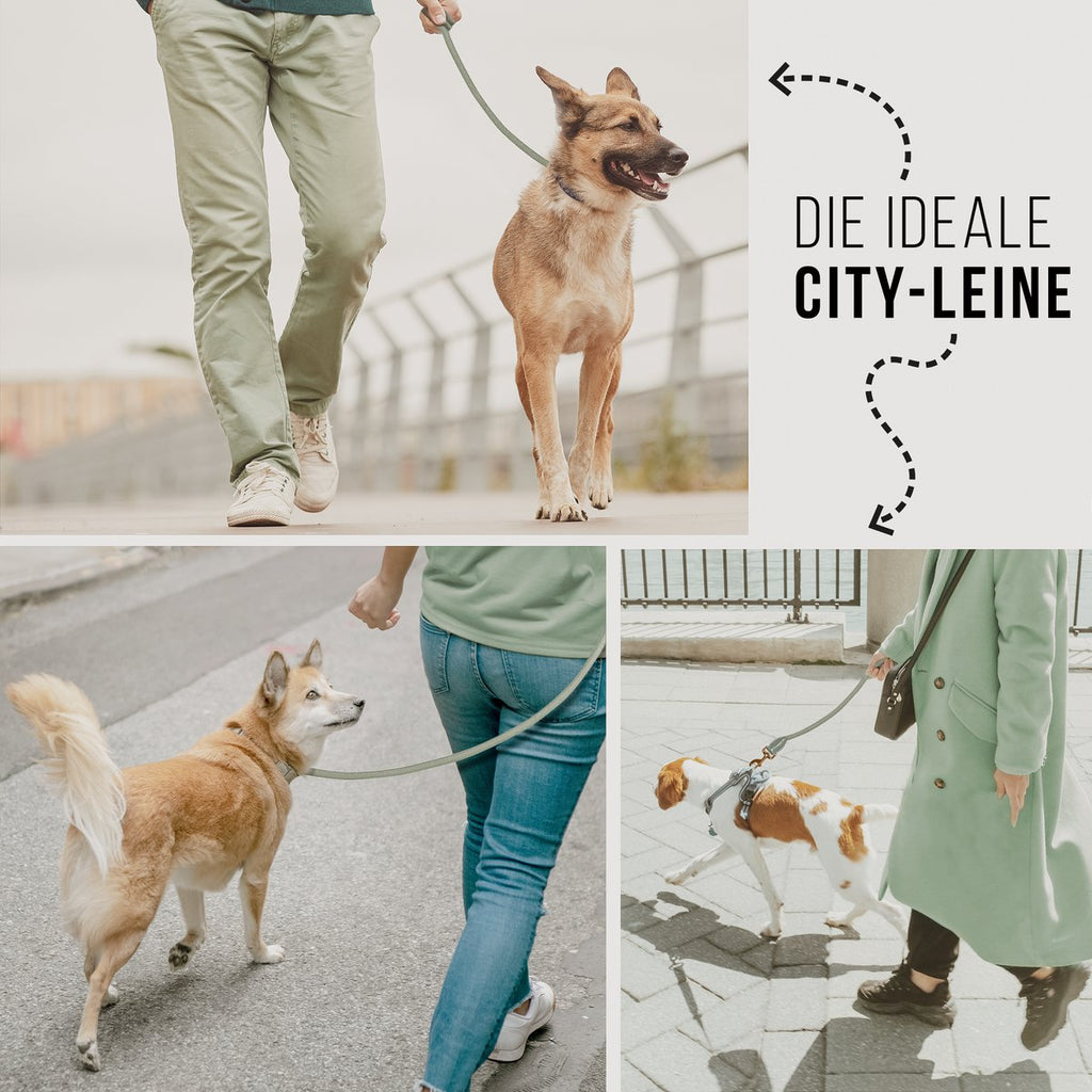 ne&no® Tauleine für Hunde - 120 / 170 cm