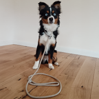 ne&no® retrieverlijn - touwlijn met geïntegreerde halsband