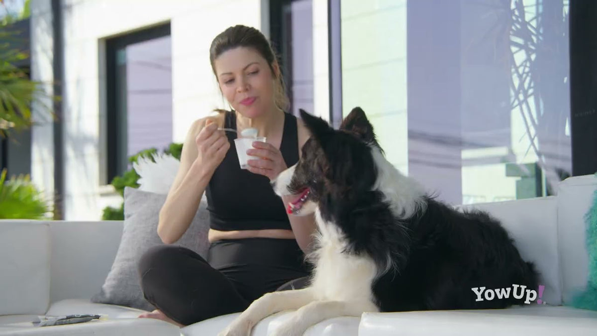 YowUp! Yogurt Dogs Articular Chicken