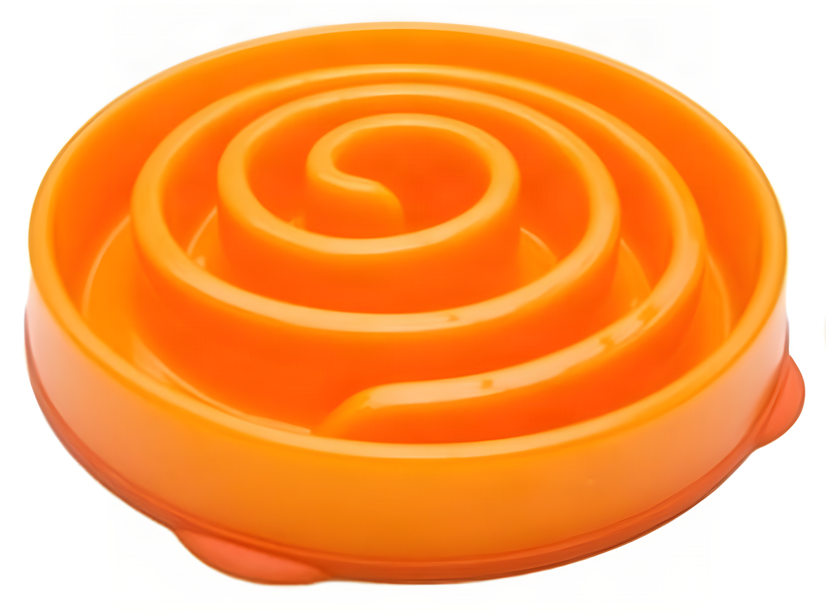 Markenlos Slo-Bowl-Feeder Mini-Korallenspirale Orange 22X22X5 Cm